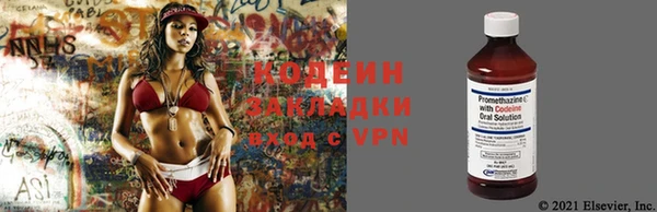 стаф Абаза