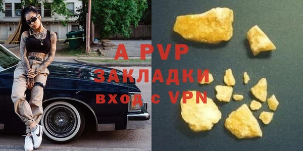 стаф Абаза