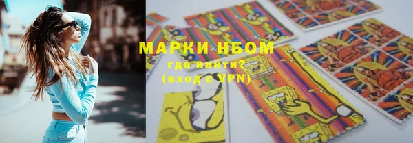стаф Абаза