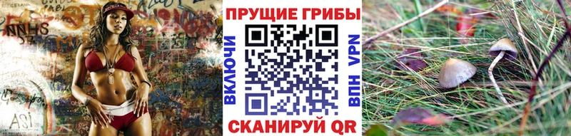 Галлюциногенные грибы мицелий  ссылка на мегу ССЫЛКА  Оренбург 